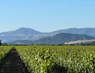 Healdsburg